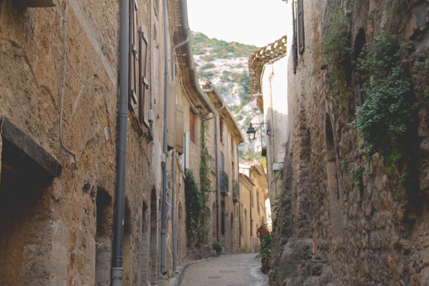 La Maison De La Traverse Saint-Guilhem-le-Desert Buitenkant foto