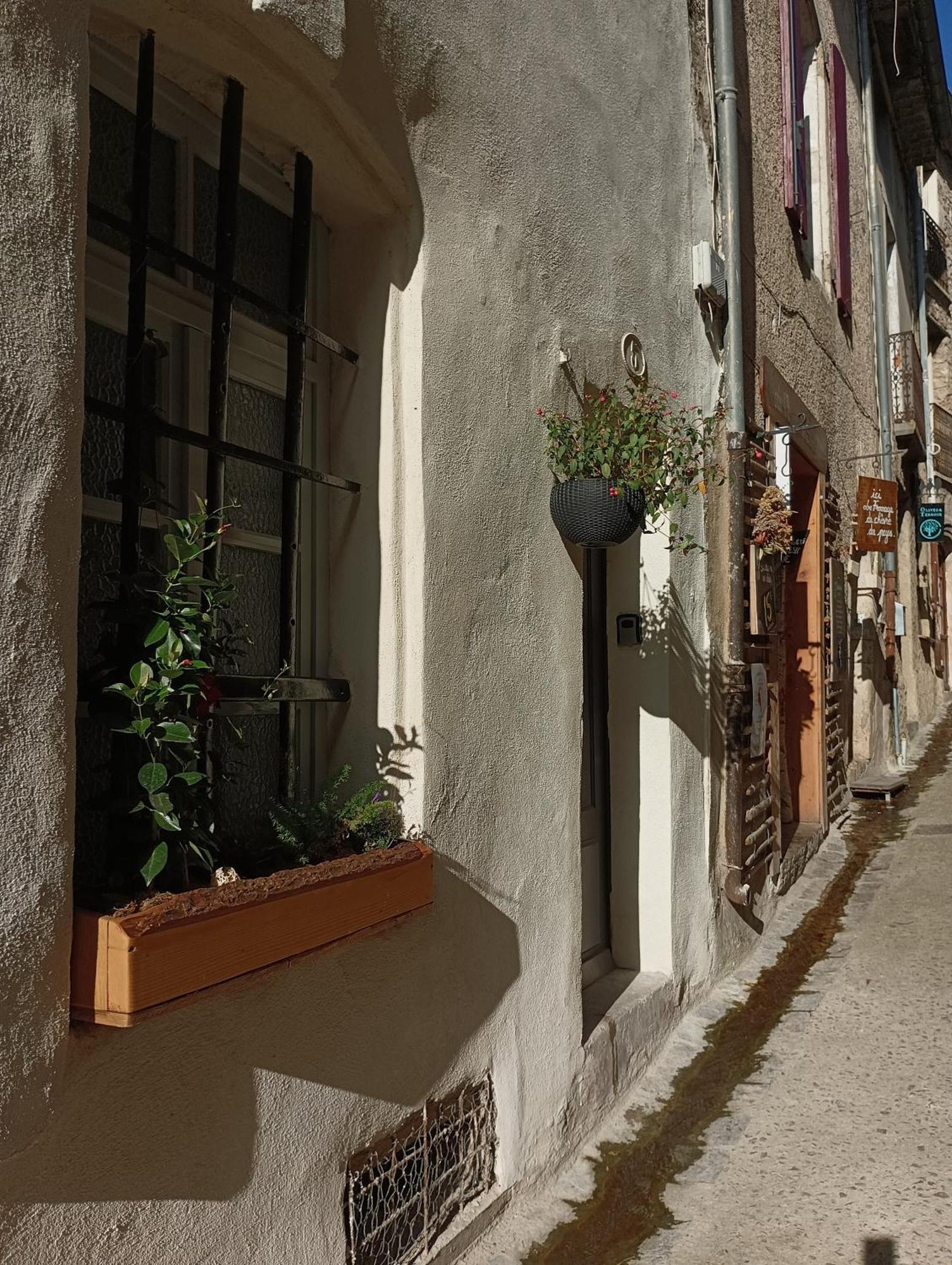La Maison De La Traverse Saint-Guilhem-le-Desert Buitenkant foto